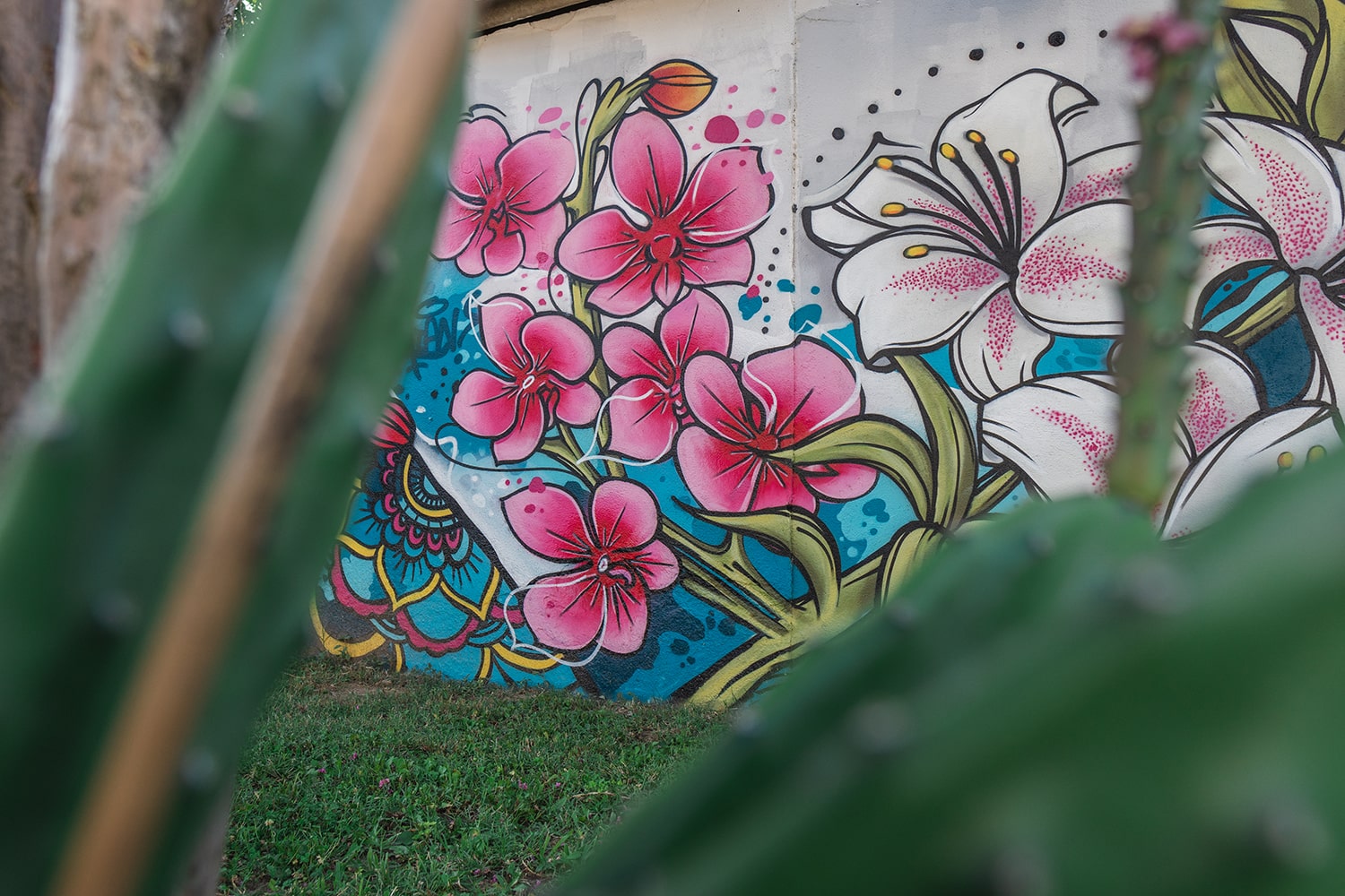 deco-graff-pozek-fleurs